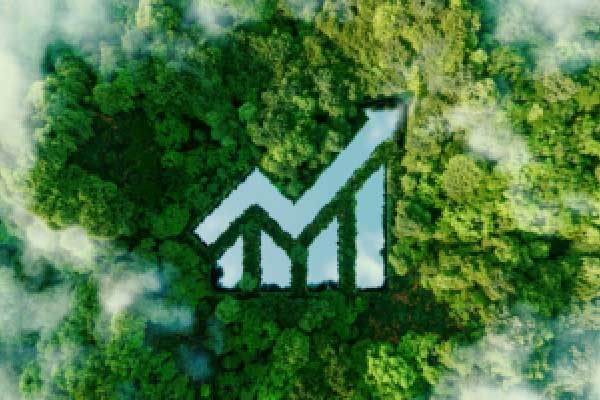 花旗银行（中国）董事长及两名副行长任职资格获批
